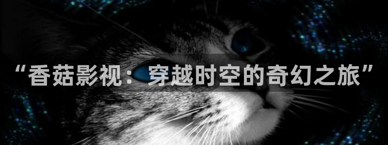 第七神马影院：“香菇影视：穿越时空的奇幻之旅”