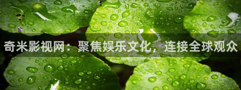 第七直播：奇米影视网：聚焦娱乐文化，连接全球观众