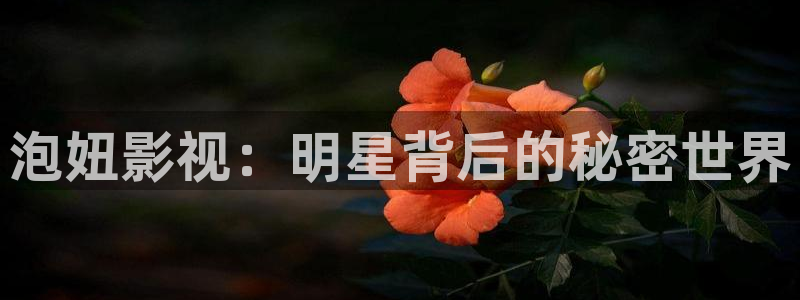 奔跑吧第七季免费观看完整版策驰影院：泡妞影视：明星背后的秘密世界