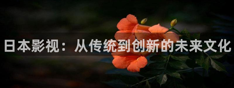第七影院官网：日本影视：从传统到创新的未来文化