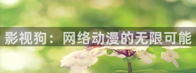 第七影院网：影视狗：网络动漫的无限可能