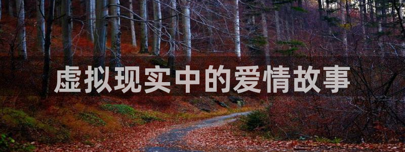 花花影院第七：虚拟现实中的爱情故事
