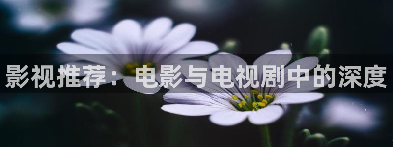 男人天堂第七色影院：影视推荐：电影与电视剧中的深度