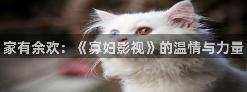 第七影院第一影院：家有余欢：《寡妇影视》的温情与力量